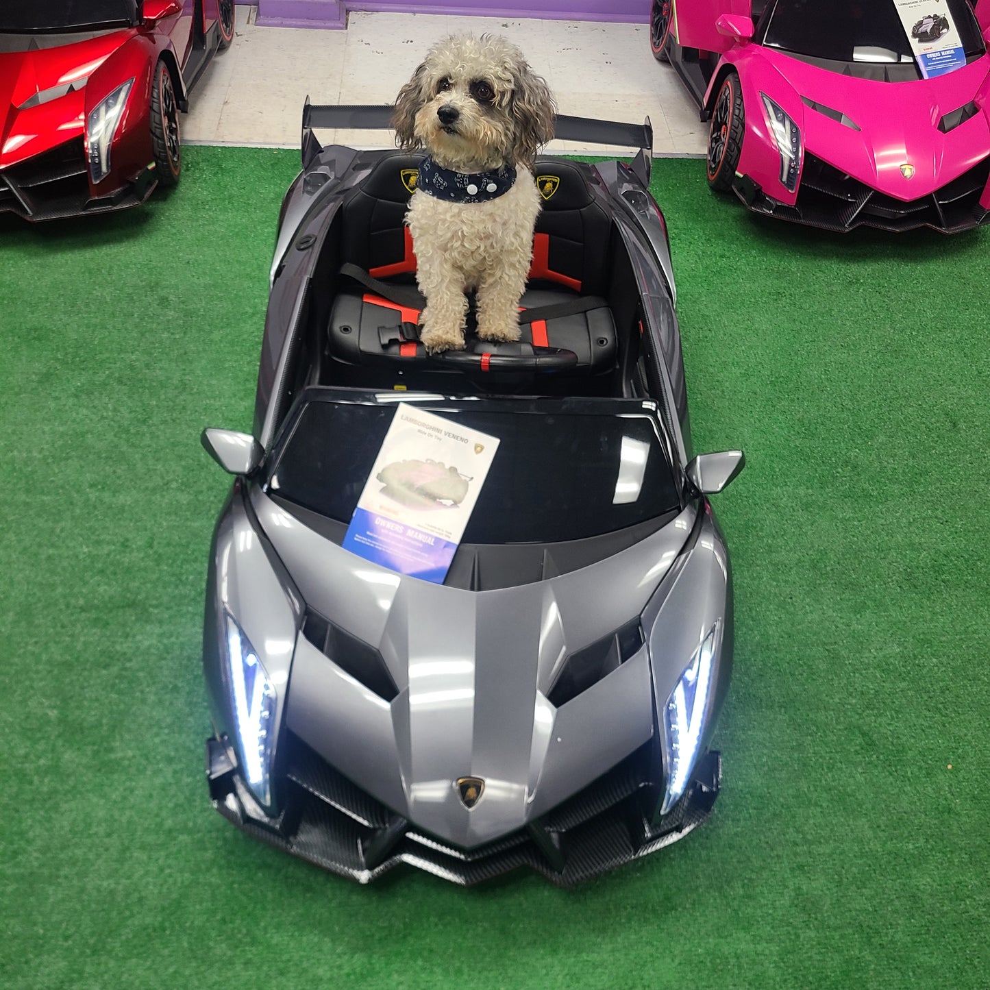 Lamborghini Veneno 12V Ride-On - Official Licensed Kids Car